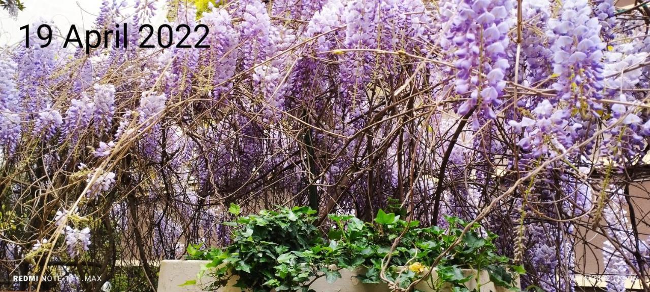 Garden House - Luxury Guest House - Overnight Stay Only Рим Екстериор снимка